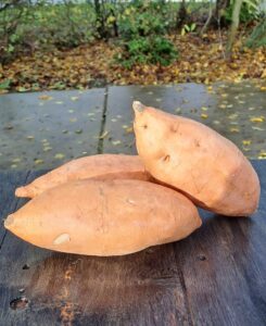 Biologische zoete aardappelen