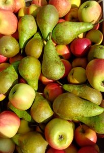 Werkfruit bezorging