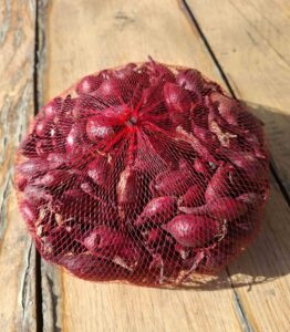 Biologische rode plantuien