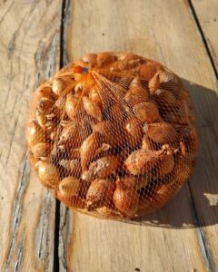 Biologische gele plantuien